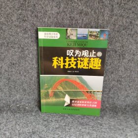 送给青少年的科学谜趣系列?叹为观止的科技谜趣