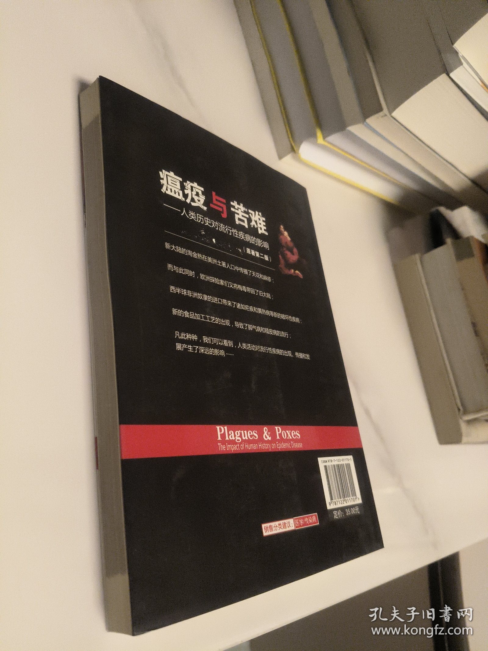 瘟疫与苦难：人类历史对流行性疾病的影响