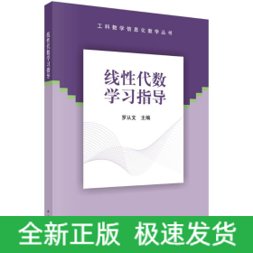 線性代數(shù)學(xué)習(xí)指導(dǎo)/工科數(shù)學(xué)信息化教學(xué)叢書(shū)