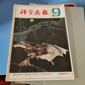 科学画报1982年第9期