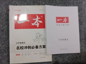 2017年一本:名校冲刺必备方案 语文(小学升初中总复习资料)/开心教育