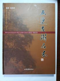 五莲古树名木
