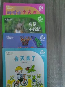 乐智小天地宝宝版进阶系列（4本合售）