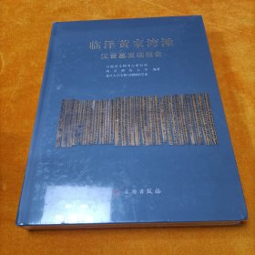 临泽黄家湾滩汉晋墓发掘报告