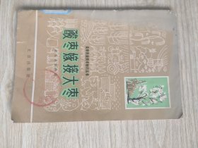 酸枣嫁接大枣