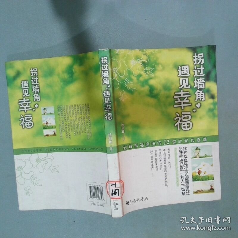 拐过墙角 遇见幸福破解幸福密码的12堂心灵必修课  姚颖颖编 九州出版社