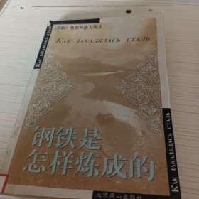 钢铁是怎样炼成的（注意有损坏）