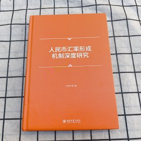人民币汇率形成机制深度研究 丁剑平等著