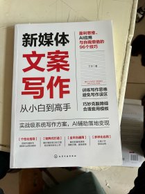 新媒体文案写作从小白到高手：盈利思维、AI应用与自我增值的96个技巧