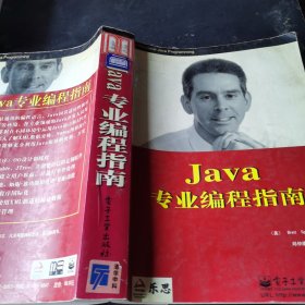 Java专业编程指南