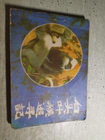 白头叶猴追寻记  扉页封底有私藏章或名字