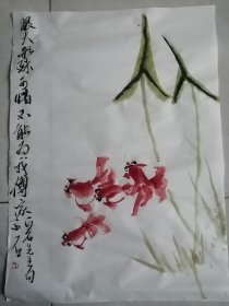 手绘国画金鱼