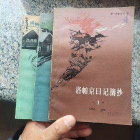 洛帕京日记摘抄（三卷全）