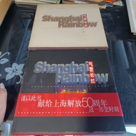 氣貫長虹上海市高架道路
