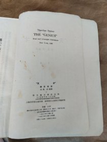 翻译小说，天才下册