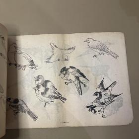 鸟谱  【中央工艺美术学院图案训练班1960年 8开本】