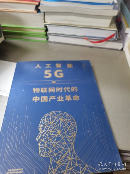 人工智能、5G与物联网时代的中国产业革命