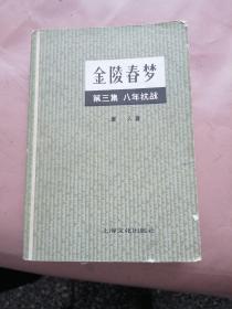 金陵春梦第3集，8年抗战。