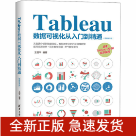 Tableau數(shù)據(jù)可視化從入門到精通(視頻教學版)