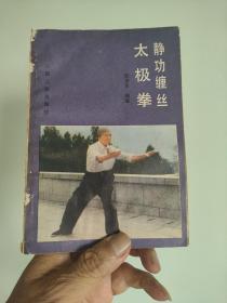 精功缠丝太极拳