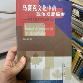 马赛克文化中的政治发展探索