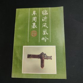 临沂凤凰岭东周墓