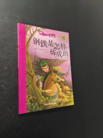钢铁是怎样炼成的