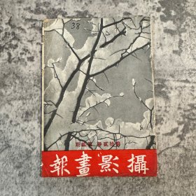 《摄影画报》第十二卷第二期，504 号