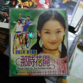 那时花开 2VCD