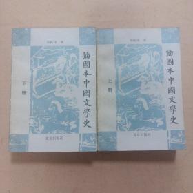 插图本中国文学史（上、下册）