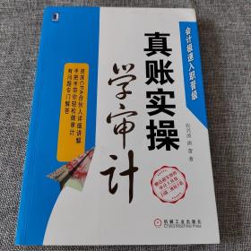 真账实操学审计