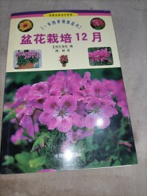 盆花栽培12月：一年四季观赏花卉