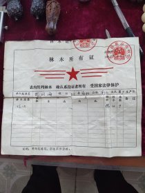 80年代林木所有证一张，60年代老照片5张，同出。