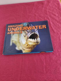 AMAZING UNDERWATER ANIMALS神奇的水下动物【精装 外文原版 彩印】