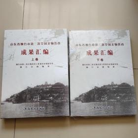 山东省烟台市第三次全国文物普查成果汇编上下