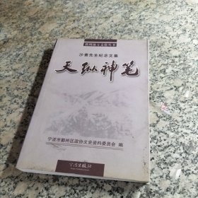 沙耆先生纪念文集 天纵神笔