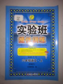 春雨 实验班提优训练：六年级语文上（RMJY）