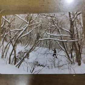 上海汽车修理四厂钱子帆摄影作品：《暮色炊烟林深处》