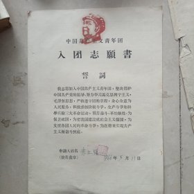 1966年入团志愿书