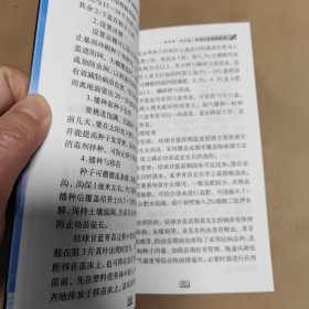 浙江效益农业百科全书 结球甘蓝抱子甘蓝
