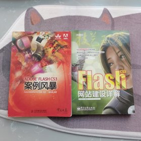 Flash CS3网站建设详解