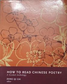 how to read chinese poetry 两册装 阅读中国古典诗歌