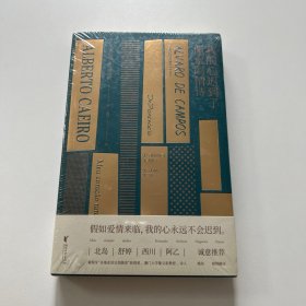 我的心迟到了：佩索阿情诗（北岛、舒婷、西川、阿乙推荐，葡萄牙国宝级诗人佩索阿情诗集结）