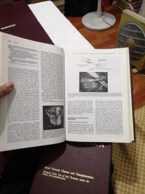 THE UROLOGIC CLINICS OF NORTH AMERICA 1994全年16开精装合订4册全 英文原版医学书