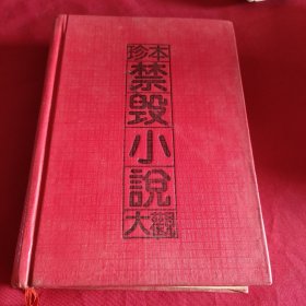 珍本禁毁小说大观