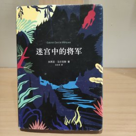 迷宫中的将军