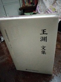 党校系统名家文库王渊文集全新塑封