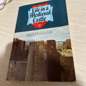 Life in a Medieval Castle