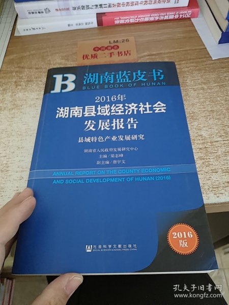 2016年湖南县域经济社会发展报告：县域特色产业发展研究