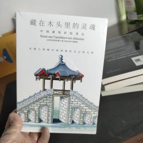 藏在木头里的灵魂:中国建筑彩绘笔记